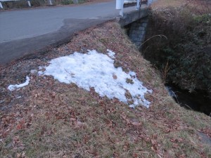 20191213 長野県 蓼科エリア 残りの雪2