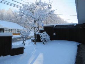 20191223リゾートメンテナンス雪①