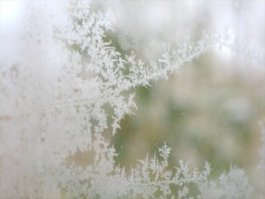 蓼科エリア別荘地～ 美し松高原別荘～