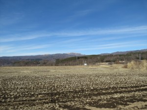 蓼科別荘営業マンの休憩日記