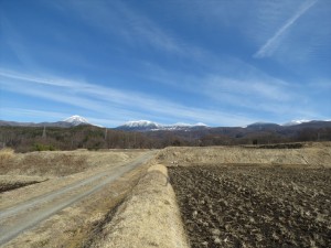 蓼科別荘営業マンの休憩日記