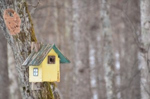 蓼科別荘エリアのサテライトオフィス