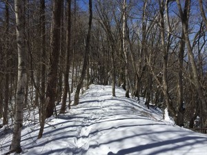 諏訪の守屋山3