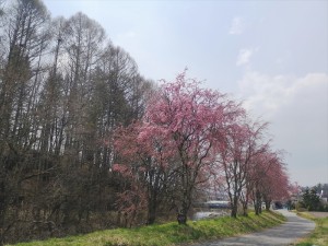 蓼科エリア今日のお天気