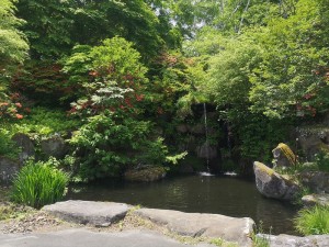 標高1600ｍの別荘地の最近