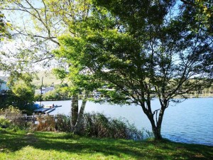 蓼科・白樺湖のお天気情報