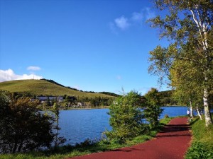 蓼科・白樺湖のお天気情報