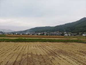 長野県の田んぼでは