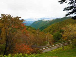 標高1600ｍの紅葉