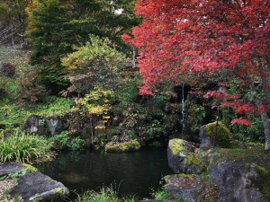 標高1600ｍの紅葉