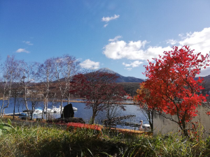 蓼科エリアお天気情報