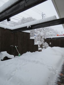 20210124リゾートメンテナンス雪②