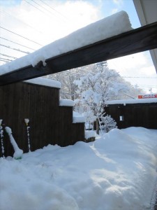 20210125リゾートメンテナンス雪②