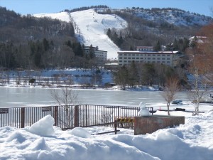 八ヶ岳エリア別荘地の小川