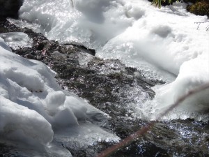 八ヶ岳エリア別荘地の小川