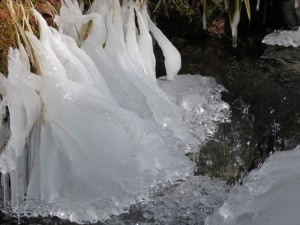 八ヶ岳エリア別荘地の小川