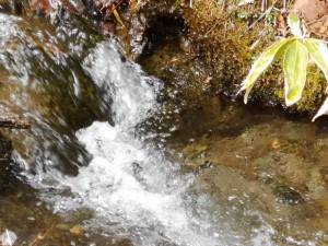 蓼科エリア別荘地とワーケーション