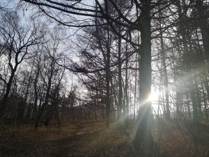 蓼科エリアお天気情報