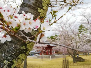 蓼科山 聖光寺