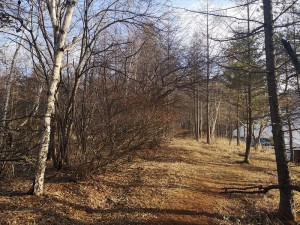 蓼科エリアお天気情報