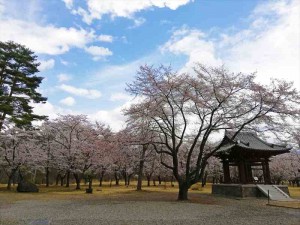 蓼科山 聖光寺