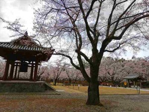 蓼科山 聖光寺