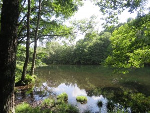 蓼科別荘エリアお天気情報