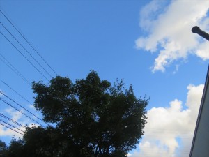 蓼科エリア今日のお天気