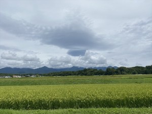 蓼科エリア今日のお天気