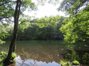 蓼科別荘エリアお天気情報