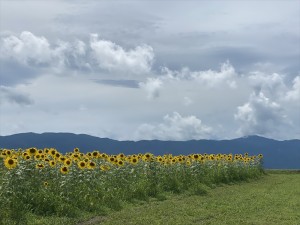 蓼科エリア今日のお天気