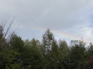 蓼科エリア今日のお天気