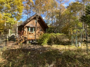 定住可能！「豊かな森に佇む平坦地のログハウス」に行ってきました。