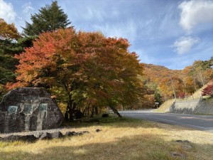 大門街道紅葉