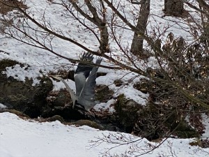 蓼科ビレッジ別荘地にて