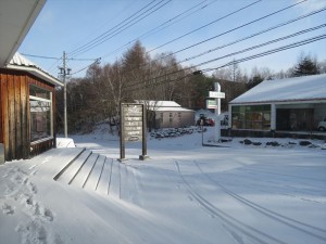 202112118道路写真1