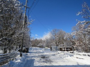 20211225蓼科エリア雪3