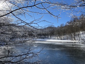 美し松別荘地