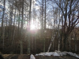 蓼科エリア別荘地今日のお天気