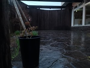 蓼科エリア別荘地今日のお天気