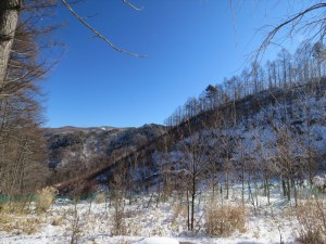 長野県 蓼科エリア りんどうの郷別荘地 売却物件