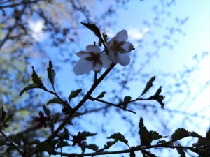 蓼科エリア別荘地のお天気☆