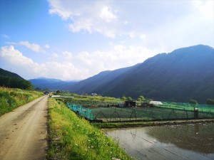 田舎暮らしの風景