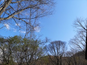 蓼科エリア別荘地のお天気☆