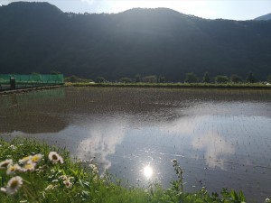 田舎暮らしの風景