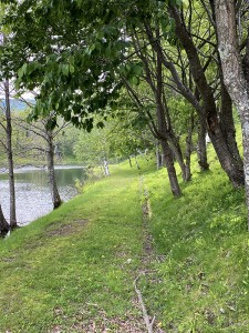 20220616長野県 蓼科エリア 姫木湖2