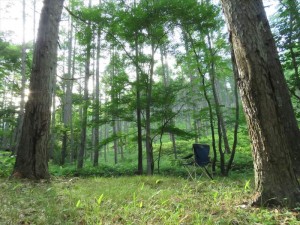 別荘地の川