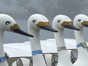 濃霧の白樺湖__雨の日の別荘地_5