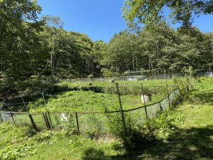 緑の村_別荘地_水道管理_21