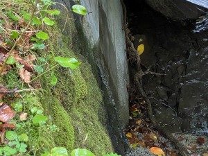 緑の村_別荘地_水道管理②_10